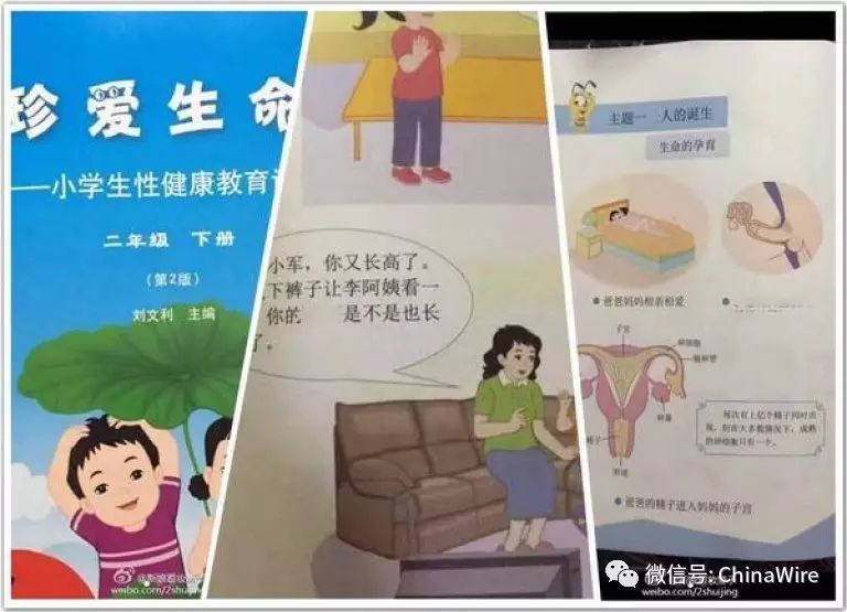 Graphic Kids Sex Education Book Divides Opinion in China