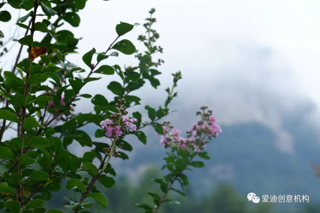 【 ide原创】游山玩水穿林间 欢声笑语庆周年