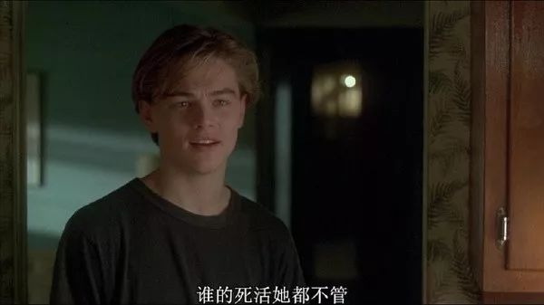 马文的房间 Marvin's Room (1996)