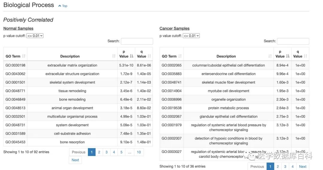 一站式 lncRNA 查询数据库