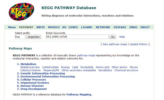 如何运用KEGG数据库查询信号通路（入门版）