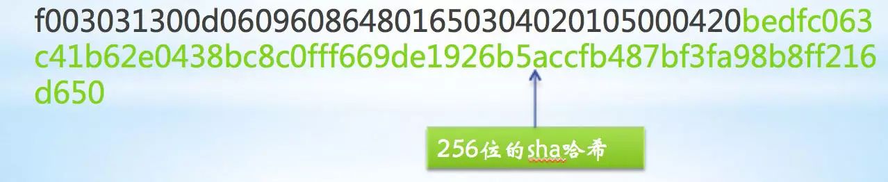 https 连接的前几毫秒发生了什么