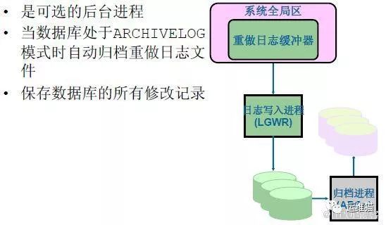 Oracle架构、原理、进程