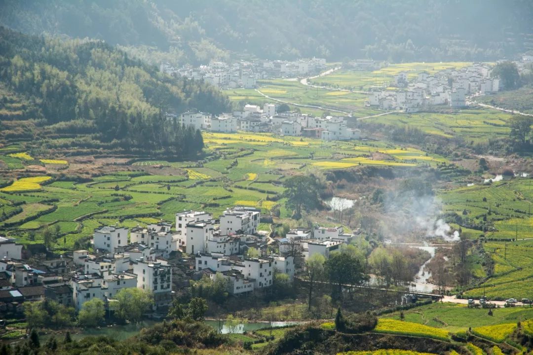 【遇见|中国最美乡村】微医门户前端团队婺源之旅