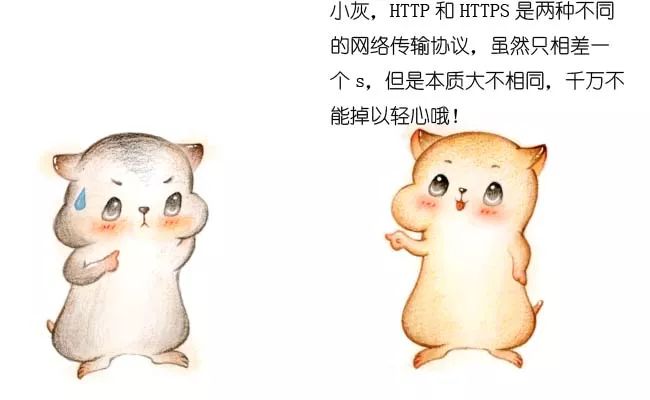 漫画：什么是 HTTPS 协议？