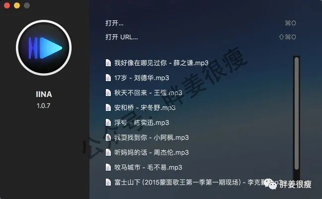 IINA 最受欢迎的 macOS 播放器