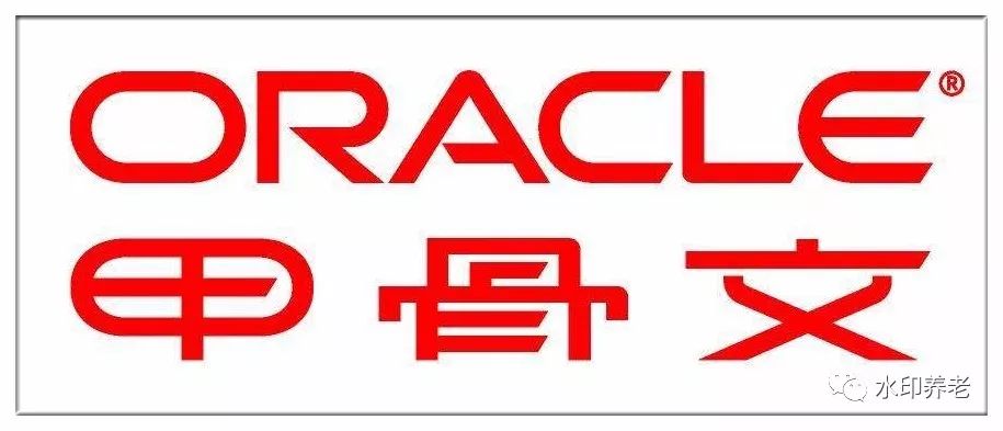 水印中国开始打造以ORACLE NetSuite为核心的ERP 系统