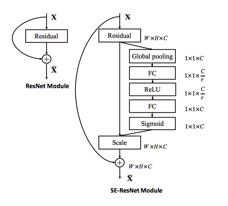 使用PaddleFluid和TensorFlow实现图像分类网络SE_ResNeXt | 文末超大福利