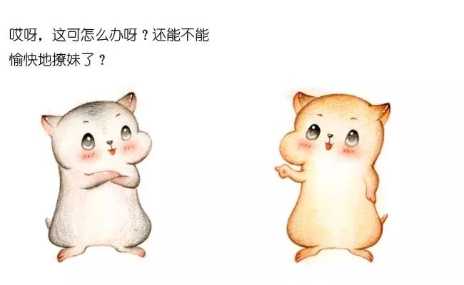 漫画：什么是 HTTPS 协议？