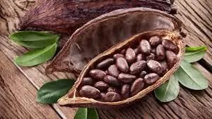 Ghana Cocoa Board eyes Chinese Market