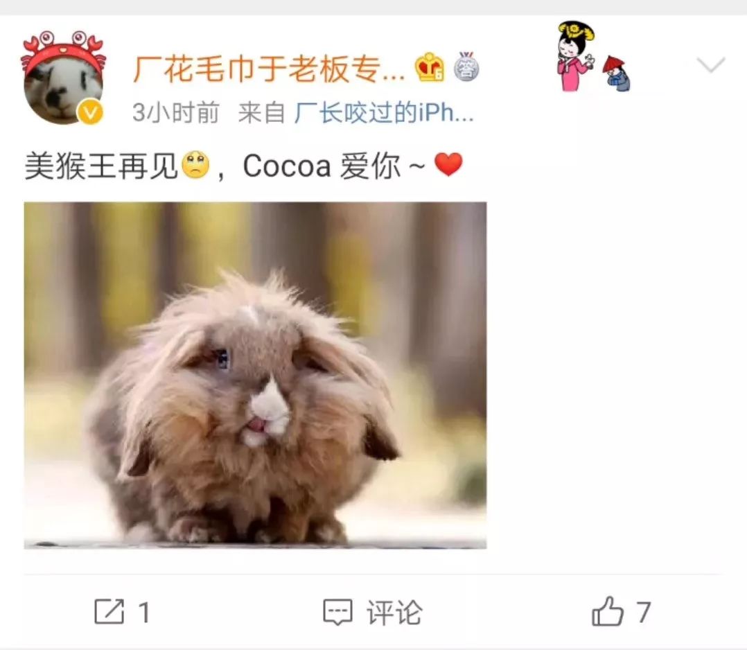 再见，Cocoa