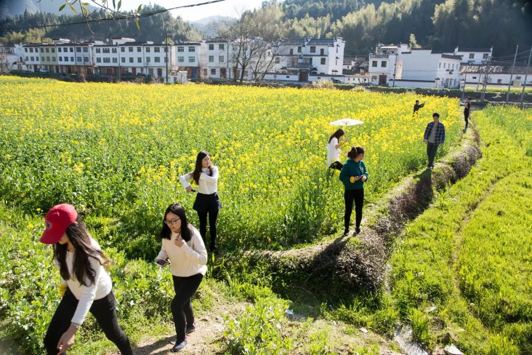 【遇见|中国最美乡村】微医门户前端团队婺源之旅