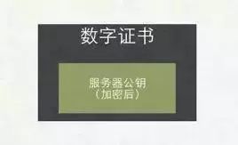 架构师必读！以图文的方式解锁 HTTPS原理，10分钟还原HTTPS真像！