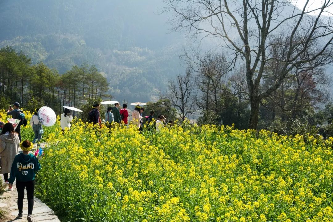 【遇见|中国最美乡村】微医门户前端团队婺源之旅