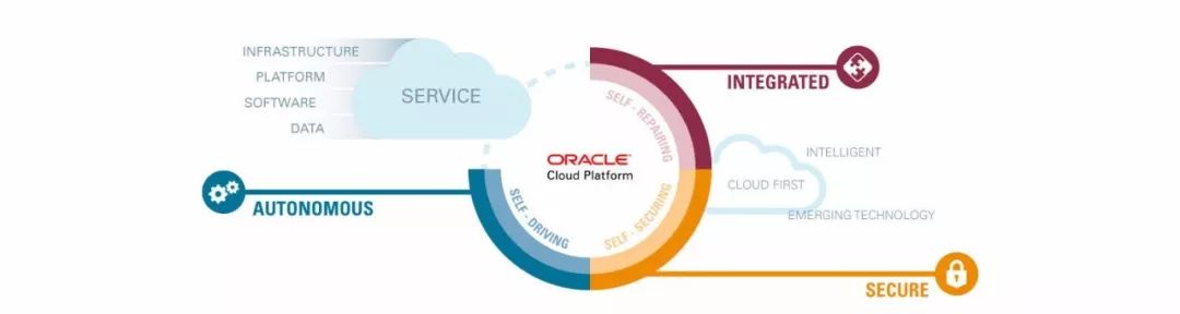 Oracle OCC&PaaS助推政务创新