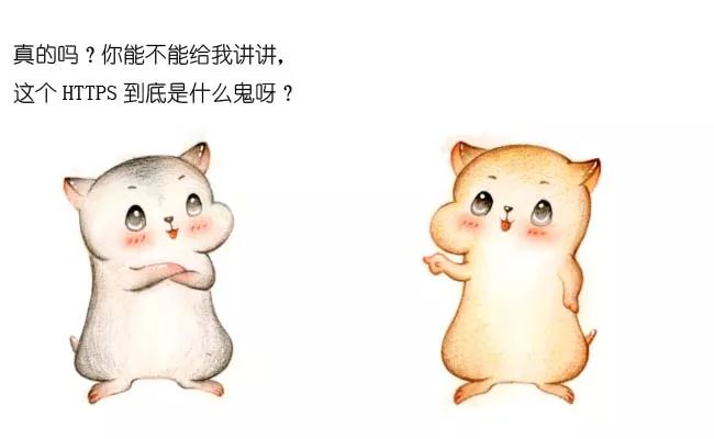 漫画：什么是 HTTPS 协议？