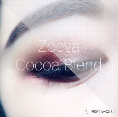 打造秋天魅力酒红眼妆— —性价比最高的眼影盘 ZOEVA 10色眼影盘 cocoa blend 巧克力盘！