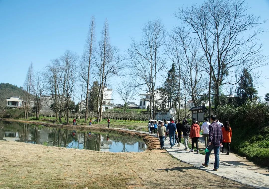 【遇见|中国最美乡村】微医门户前端团队婺源之旅