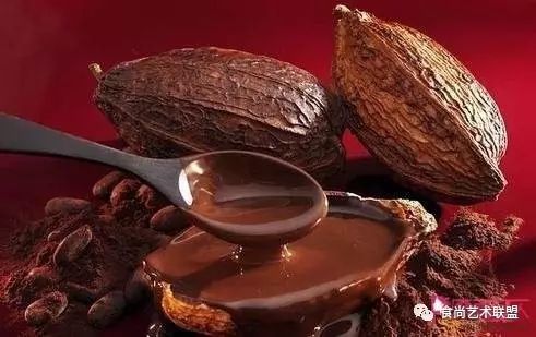 cacao与cocoa 傻傻分不清的“可可”