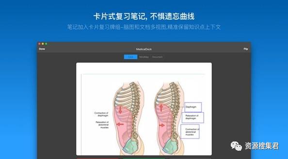 MacOS 好用的大学生必备神器--MarginNote 3 最新版3.5.9 中文！​！！