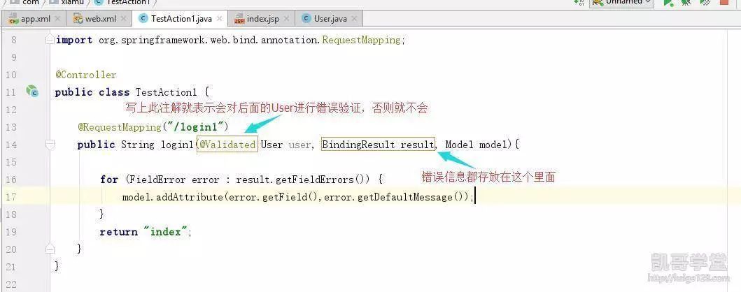 JavaEE——错误验证框架