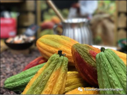 THE ECUADORIAN COCOA ROUTE: A DESTINATION FOR ALL THE SENSES