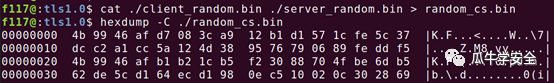 HTTPS网络流量解密方法探索系列1