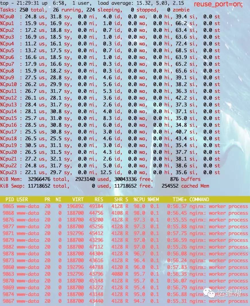 开启一个参数就能让你的WEB性能提升3倍