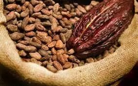 Ghana Cocoa Board eyes Chinese Market