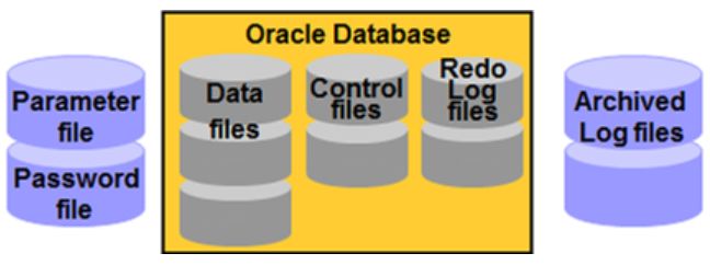 万字详解Oracle架构、原理、进程，学会世间再无复杂架构