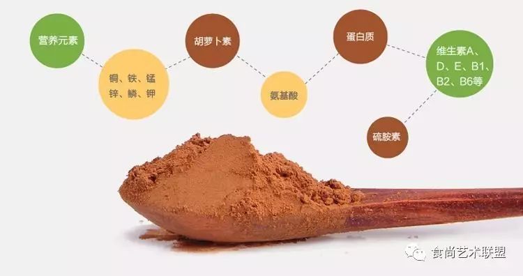 cacao与cocoa 傻傻分不清的“可可”