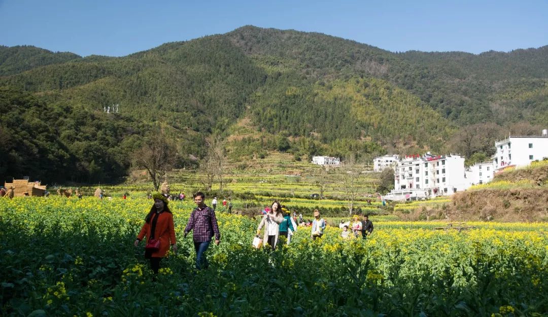 【遇见|中国最美乡村】微医门户前端团队婺源之旅