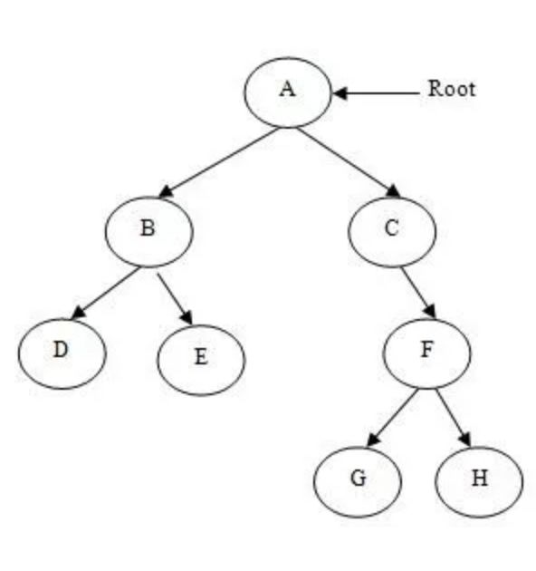 深度解析GraphQL：澄清你对GraphQL的误解