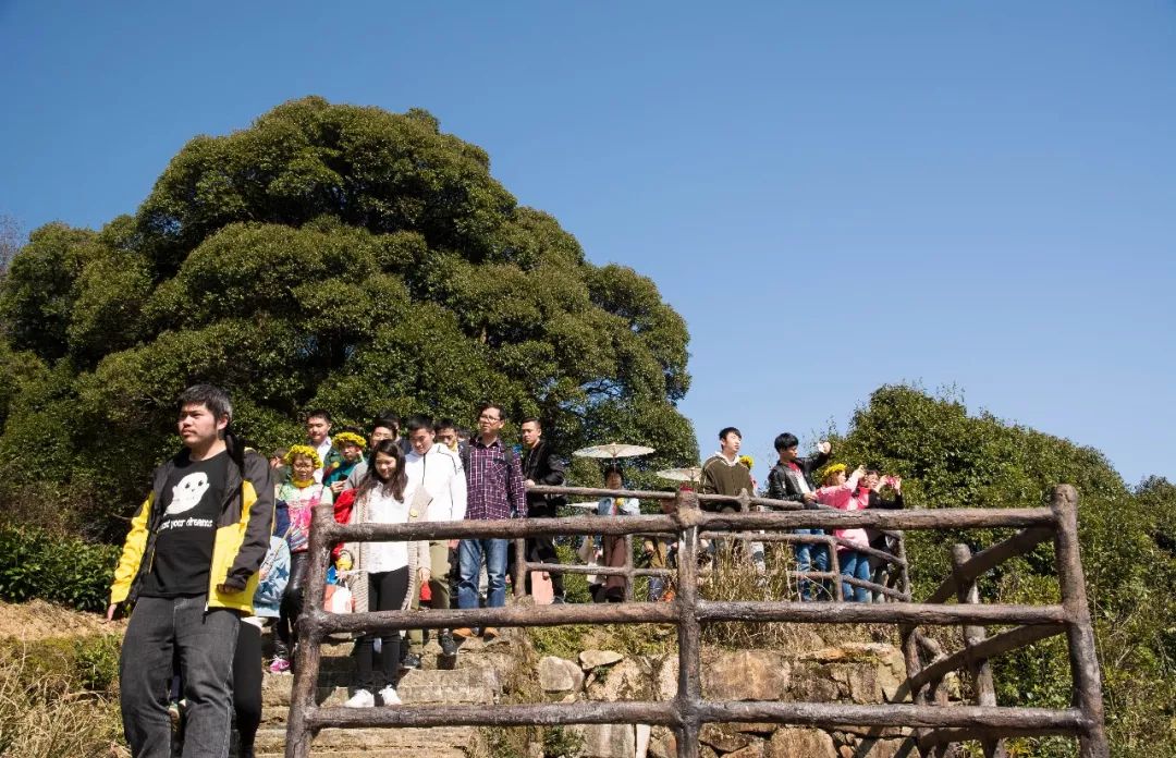 【遇见|中国最美乡村】微医门户前端团队婺源之旅