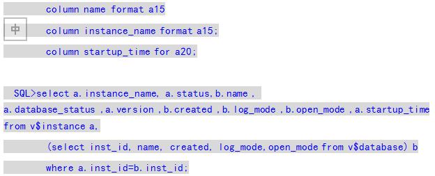 Linux 环境 Oracle 11g RAC 安装指南 | 资料