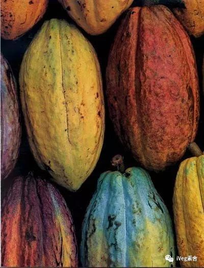 iVeg|Cocoa? Cacao? Carob?——一个巧克力味的问题