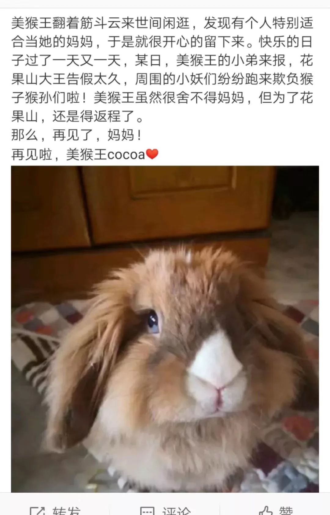 再见，Cocoa