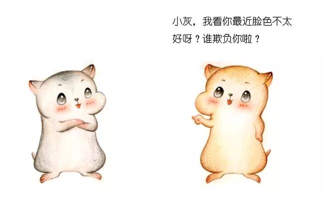 漫画：什么是 HTTPS 协议？