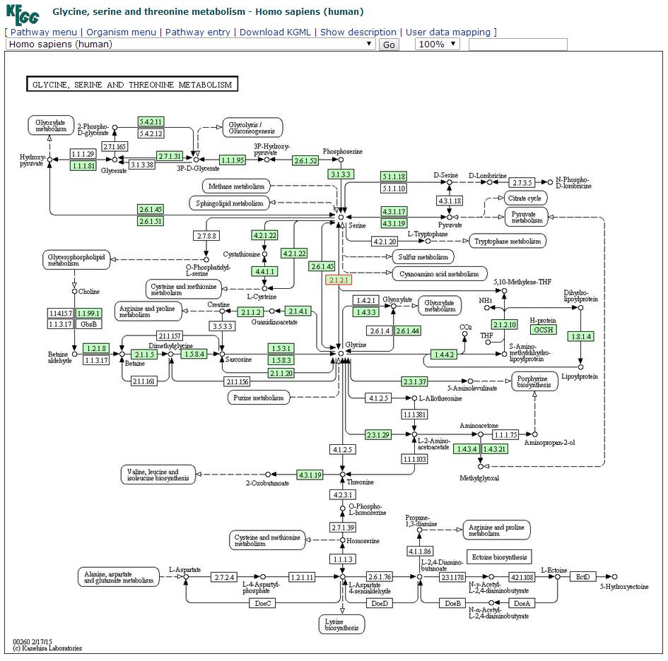 【KEGG】如何使用KEGG数据库查询pathway?