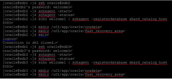 纯干货：手把手地教你搭建Oracle Sharding数据库分片技术