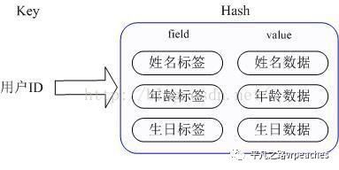 NoSQL技术(memcache和redis)