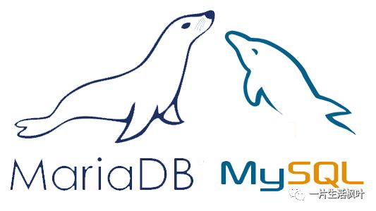 MySql || MariaDB 第1集