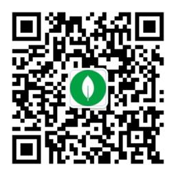 远程学习：MongoDB 在线学习资源速览