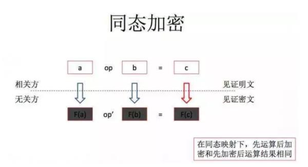 布隆过滤器、同态加密、PKI体系……一文告诉你密码学在区块链中能做什么！