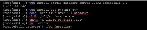 纯干货：手把手地教你搭建Oracle Sharding数据库分片技术