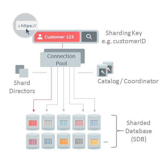 针对Sharding DB的单点故障，合理构建HA架构