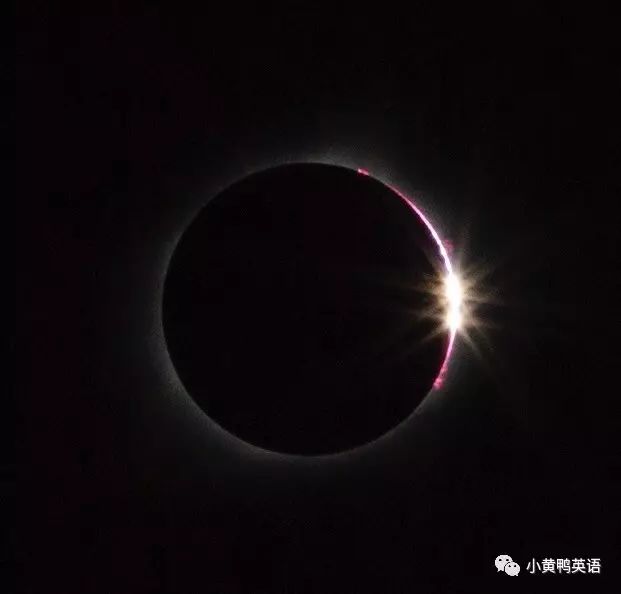 美国小学生Maggie的日常| Solar Eclipse 观日食