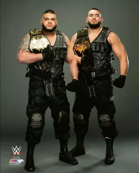 科普The Authors of Pain（aop）