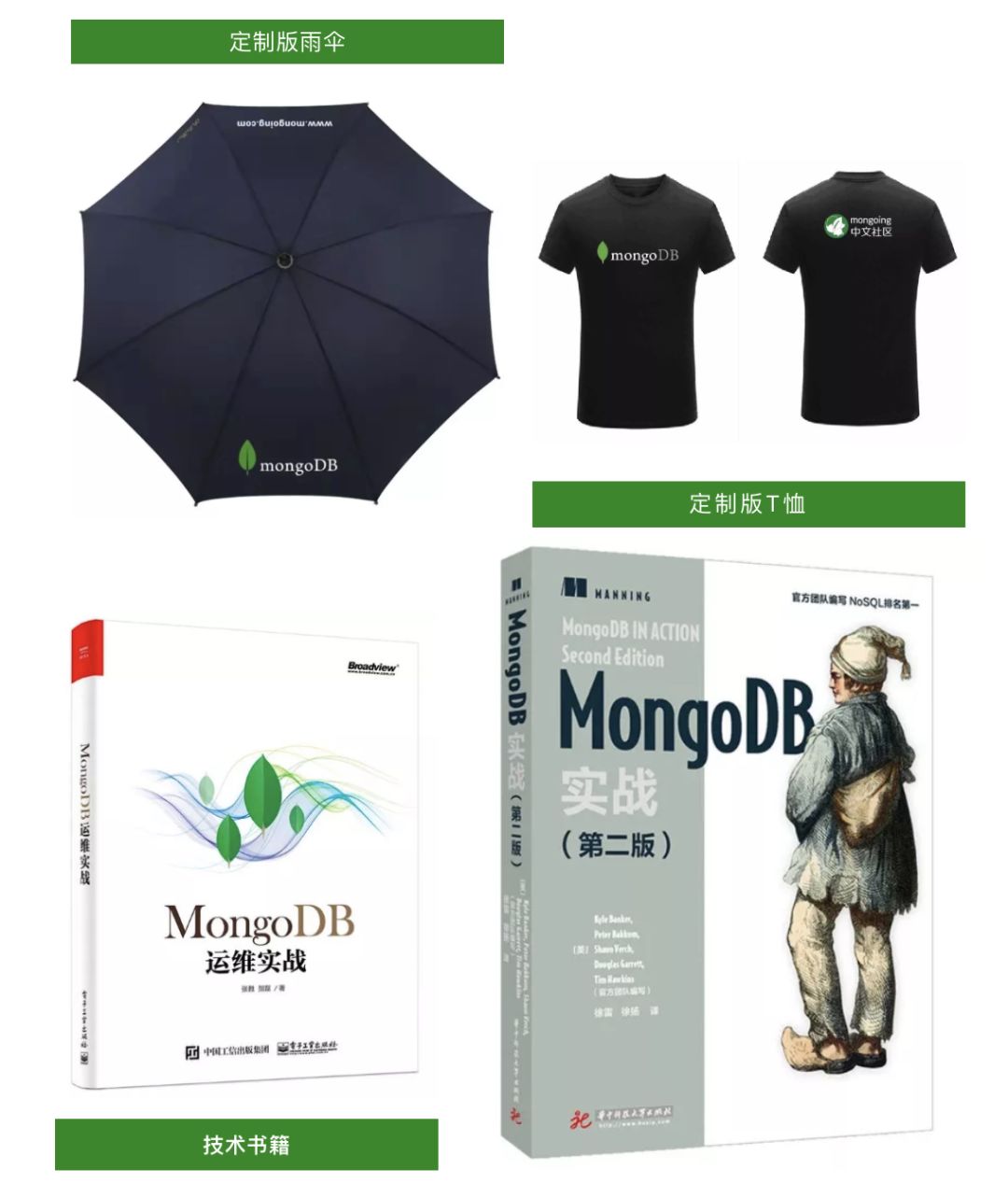 【MongoDB IODP 赋能金融业创新】2018 MongoDB中文社区年终盛会