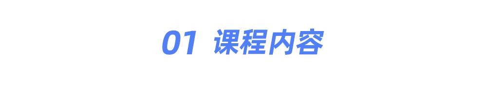 线上实验环境+企业项目，只为培养推荐系统算法工程师